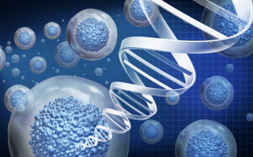 Wound Care Rochester Hills, MI